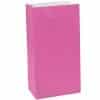 Hot Pink Paper Party Bags - 24cm (Pk 12)