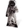 Astronaut Buzz Aldrin Cardboard Cutout Decoration