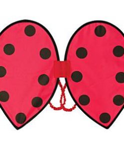 Children's Ladybird Wings