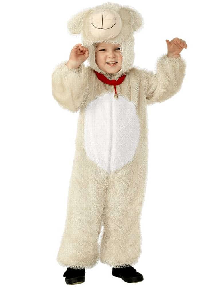 sheep nativity costume