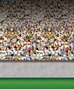 Lower Deck Stadium Backdrop