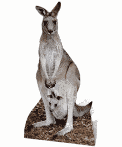 Kangaroo Cardboard Cutout