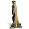 Meerkat Cardboard Cutout