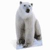 Polar Bear Cardboard Cutout