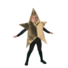 Star Costume
