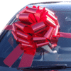 Red Pom Pom Big Gift Bow