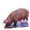 Pig & Piglets lifesize Cardboard Cutout