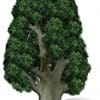 Tree Cardboard Cutout