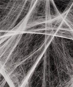 Alternative view of Spiders Web + Plastic Spiders