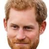 Royal Family Prince Harry Celebrity Mask