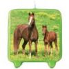 Horse Molded Candle