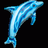 Delightful Dolphin Supershape Foil Balloon - 42"