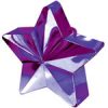 PURPLE Star Weight