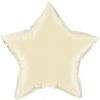 Icoty Star Shaped Balloon