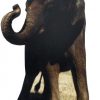Baby Elephant (Big but not Life Size!) Cut Out - 1.1m