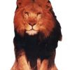 Lion Life Size Cut Out - 1.5m