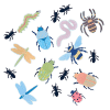 Bug & Insect Card Cutouts