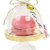 Truly Alice Curious Cake Domes