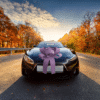Big Car Bow