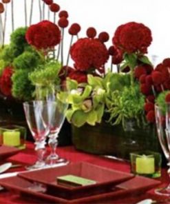 Red Themed Weddings