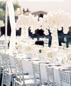 White Themed Weddings
