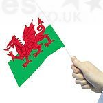 St David's Day