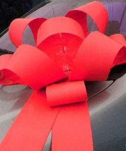 MATT RED ROSETTE BOW