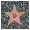 Hollywood Star Walk of Fame Paper Napkins
