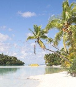 35th Anniversary - Coral