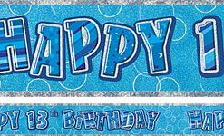 13th Birthday Decorations