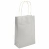 Silver Paper Party Bag