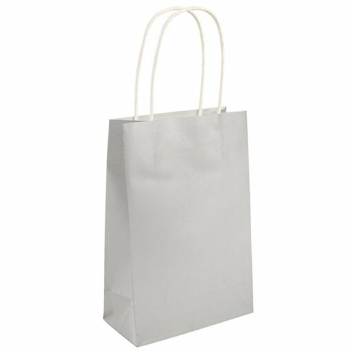 Silver Paper Party Bag