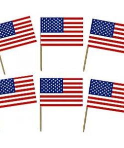 USA American Flag Food Picks