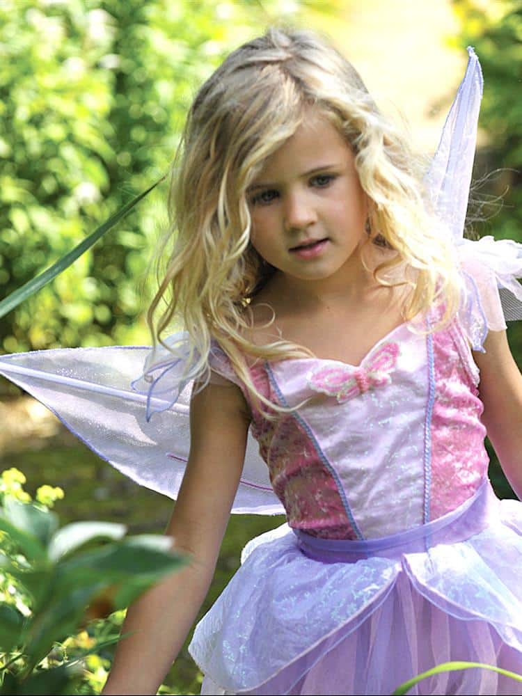 Butterfly Fairy Costume