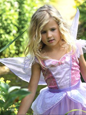 Fairy & Princess Costumes