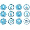 Blue & Silver Glitter Monthly Milestone Stickers