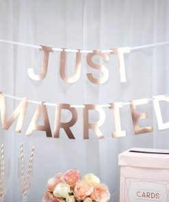 Geo Blush Wedding 'Just Married' Wedding Bunting