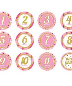 Pink & Gold Glitter Monthly Milestone Stickers