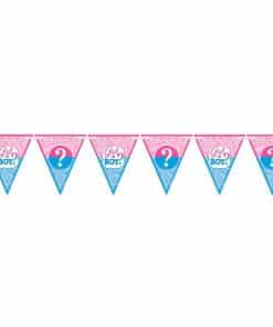 Gender Reveal Party Bunting