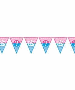 Gender Reveal Party Bunting