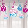 Gender Reveal Party Hanging Swirl Decorations