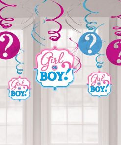 Gender Reveal Party Hanging Swirl Decorations