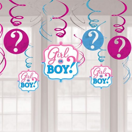 Gender Reveal Party Hanging Swirl Decorations