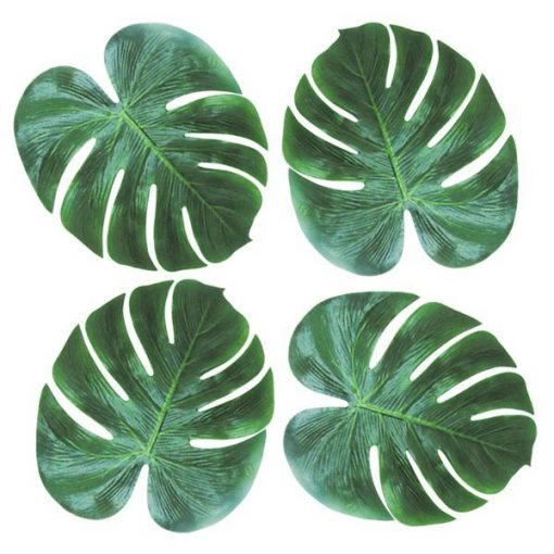 Palm Tree Leaves