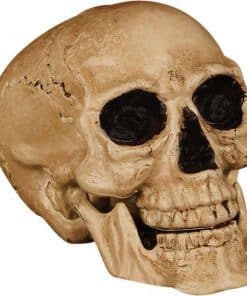Halloween Props Skull Halloween Props Skull