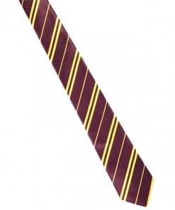 Harry Potter Party Wizard School Tie