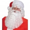 Santa Claus White Wig & Beard Set