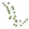 Beautiful Botanics Decorative Vines