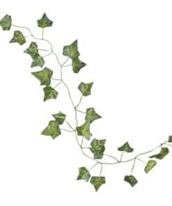 Beautiful Botanics Decorative Vines