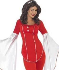 Ladies 1970's Abba Themed Costumes